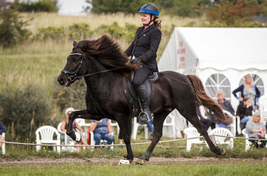 Klaki og Britt bgr Britt og Klaki - fra rideangst til mesterskabsrytter