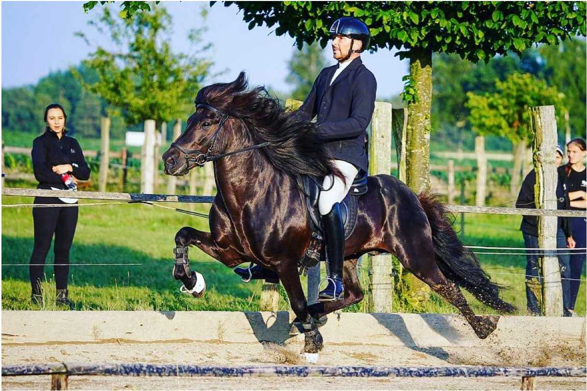 Tre tips fra Niels-Christian Larsen