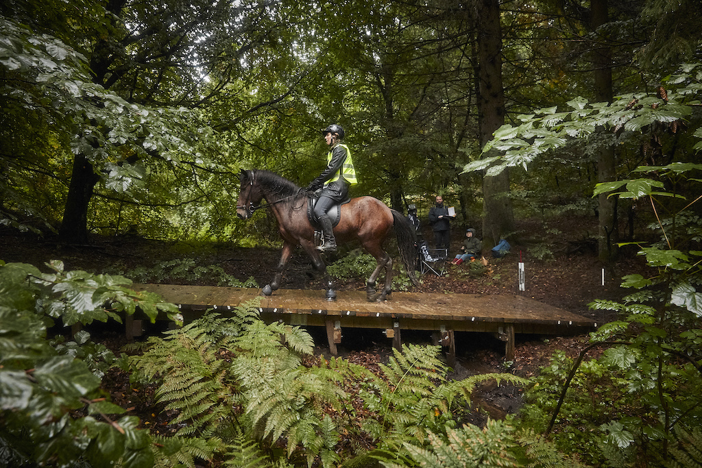 DM i Alrid 2021 DM i altid 2021