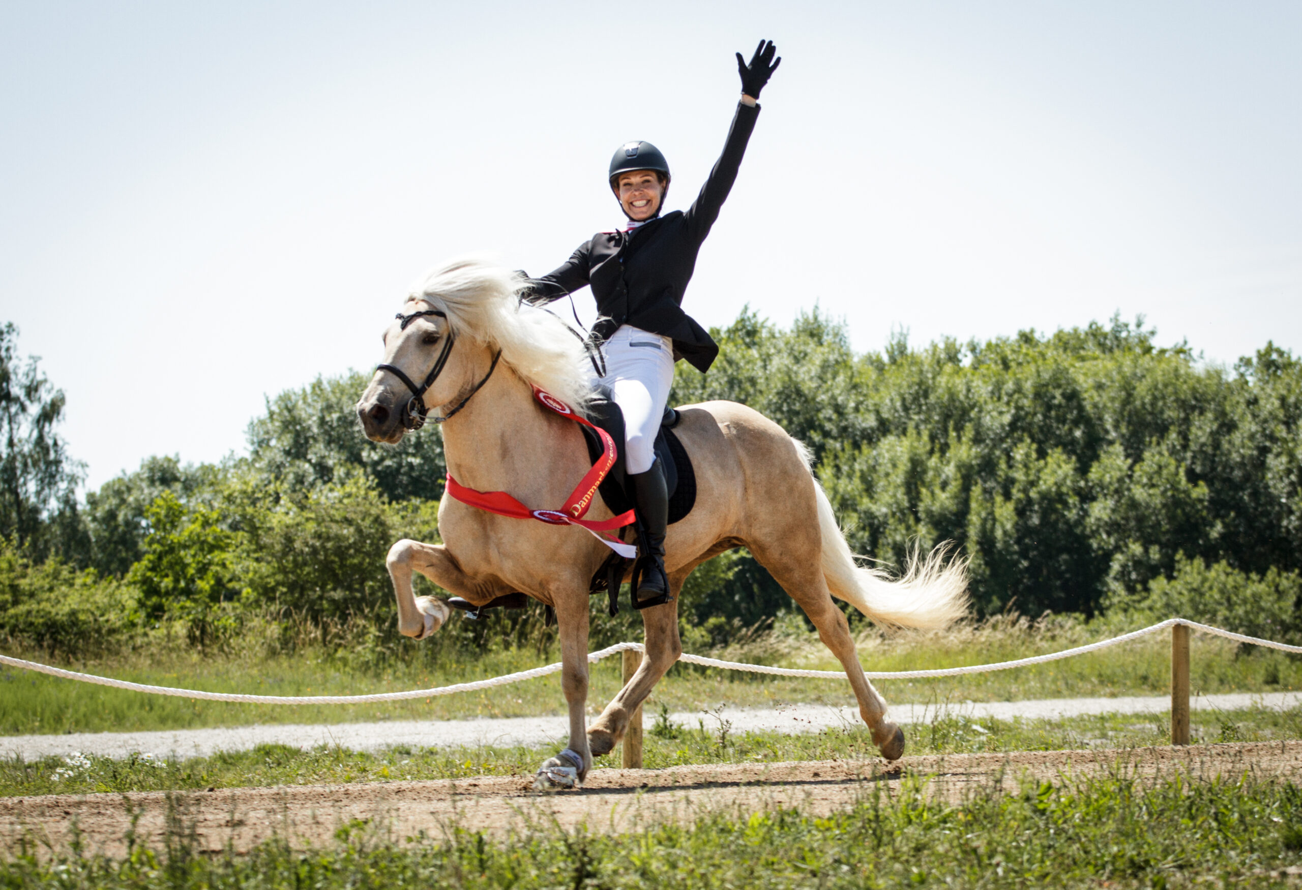 DMi Gæðingakeppni 2021 DM i gæðingakeppni 2021