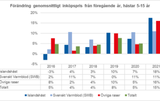Det koster mere at købe islandsk hest
