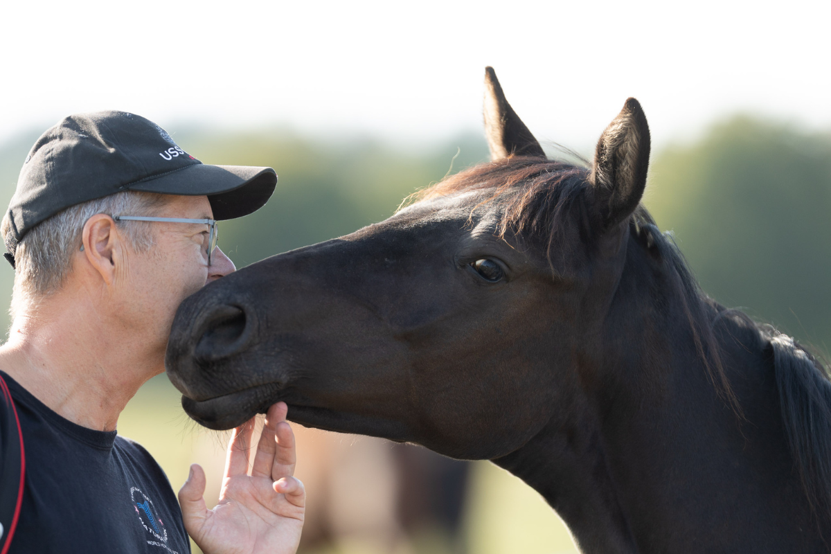 Blogindlæg – lange ejerforhold til heste Blogindlæg - lange ejerforhold til heste