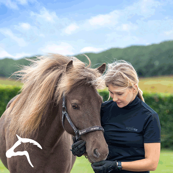 Dansk hesteforsikring til islænder heste