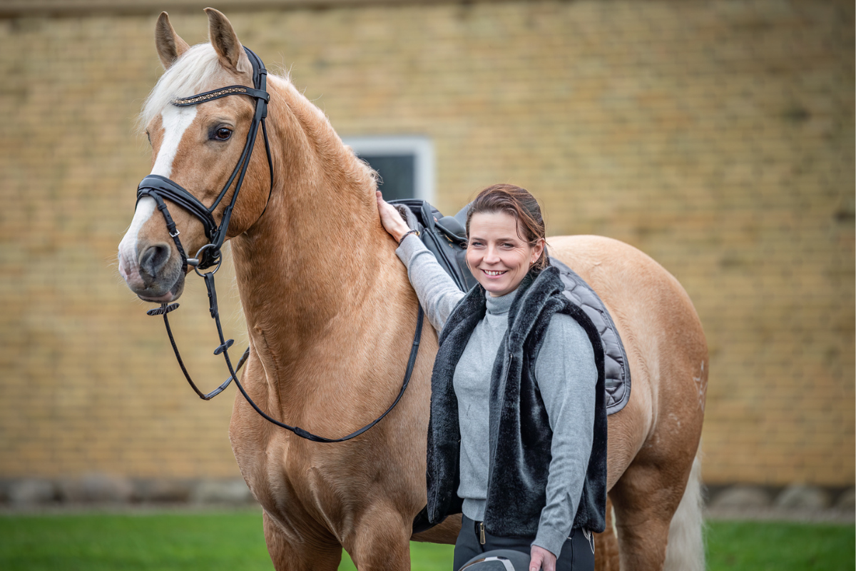 Blogindlæg – Equilink Blogindlæg - Equilink