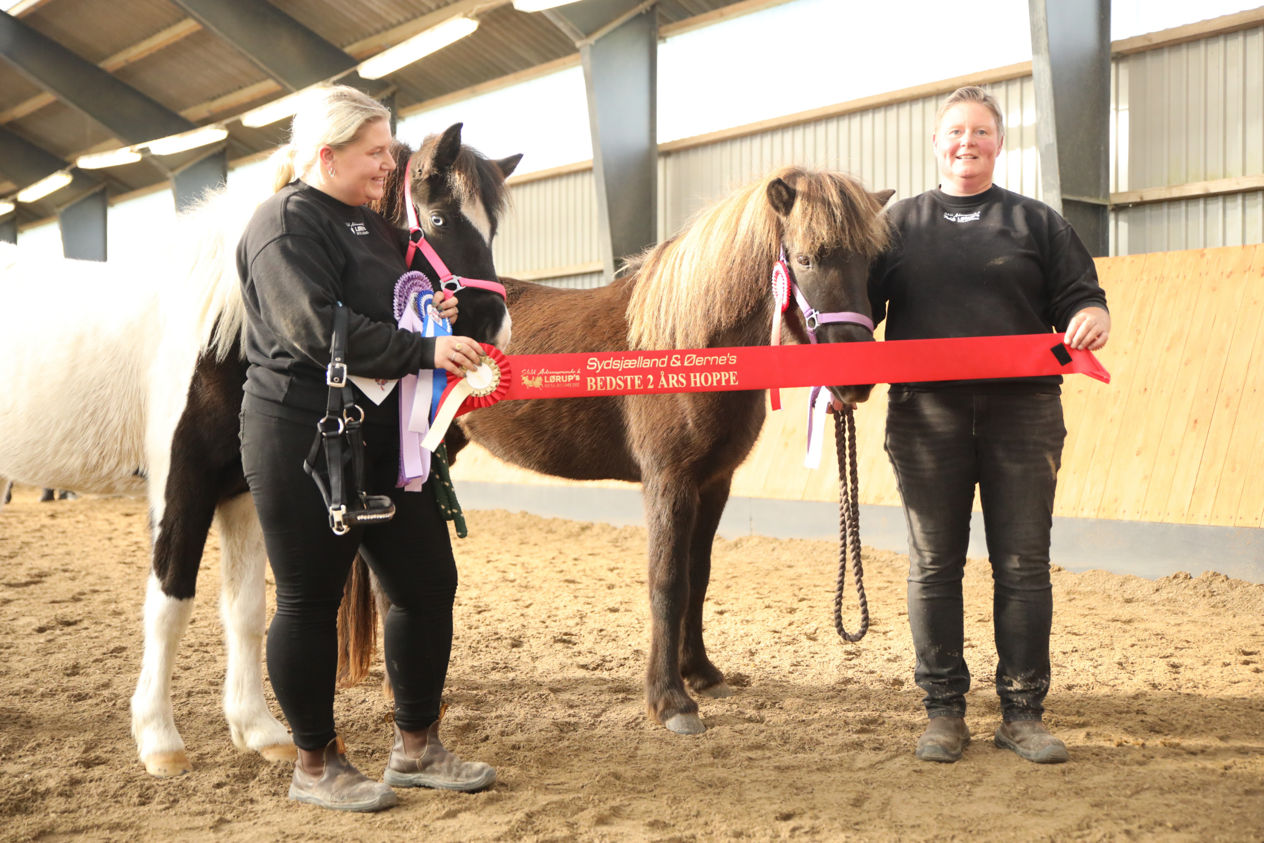 Blogindlæg-følshow