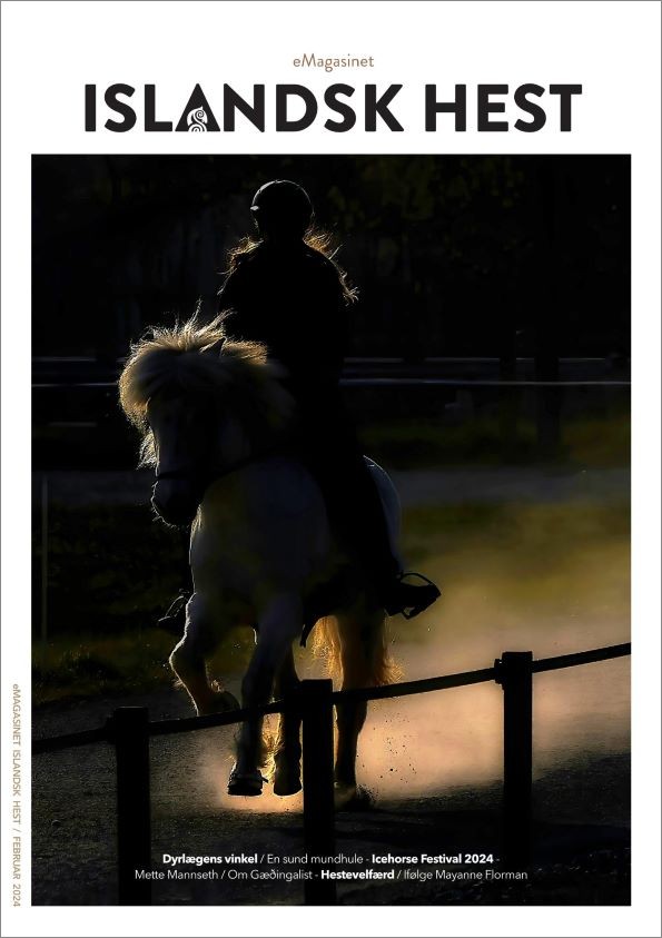 eMagasinet Islandsk hest - februar 2024