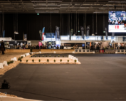 Icehorse Festival 2024