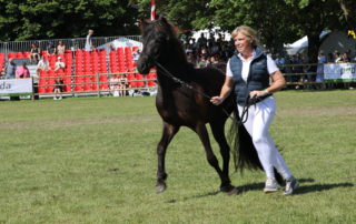 Jette Saltoft Gram fremviser Hella fra Høbjærg Hus.