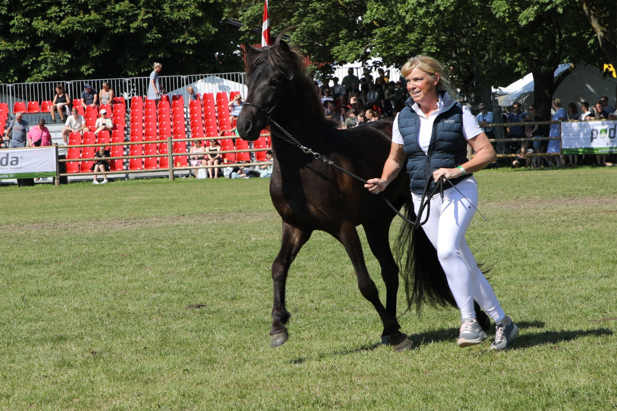 Jette Saltoft Gram fremviser Hella fra Høbjærg Hus.