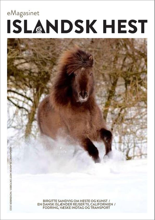eMagasinet Islandsk hest januar 2024