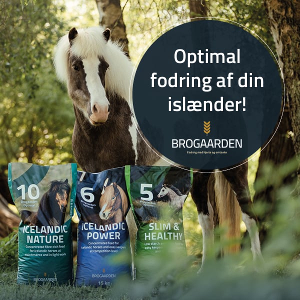 Brogaarden - optimal fodring af din islænder