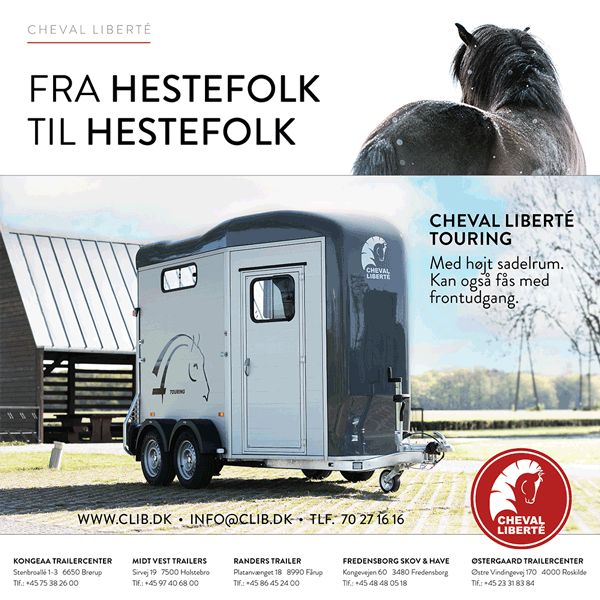 Cheval Liberté Touring, Islandic eller Baldur