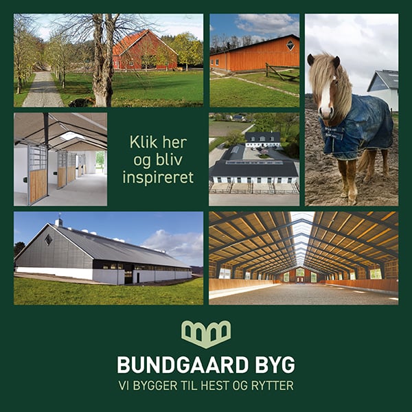 Bundgaard byg - vi bygger til hest og rytter