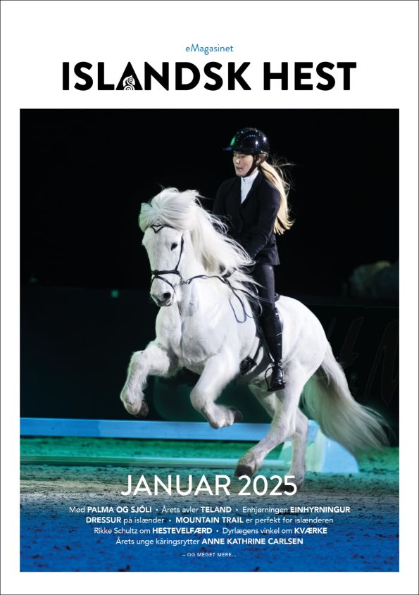 eMagasinet Islandsk hest - januar 2025